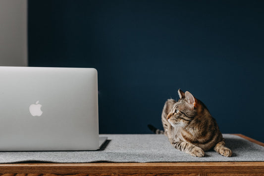 Est-ce qu'un MacBook peut tenir 10 ans ?
